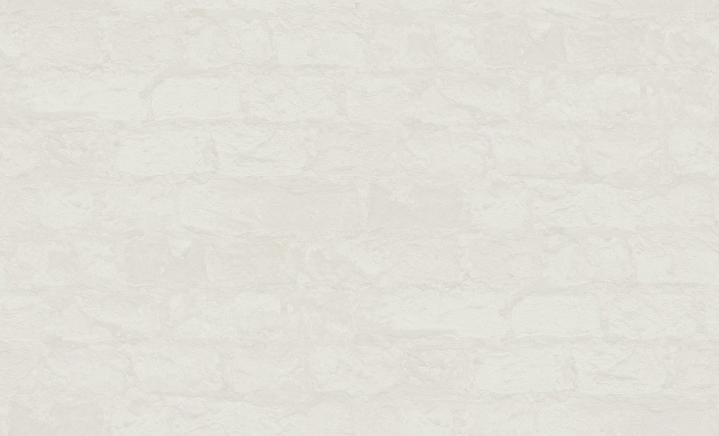 

Виниловые обои Erismann Neon 60408-02