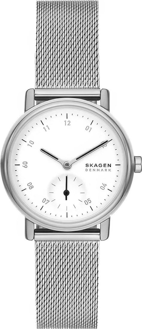 

Наручные часы Skagen SKW3100