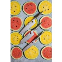 Кухонный нож Samura Reptile SRP-0095