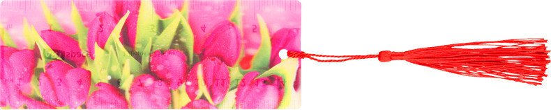 

Закладка для книг ArtSpace Tulips 3D с линейкой 3D_31155