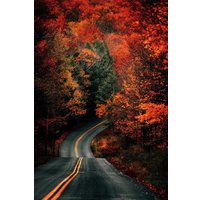 Картина Stamprint Дорога в осень NT025 (120x80)