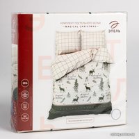 2-спальный комплект постельного белья Этель Magical Christmas 7733880