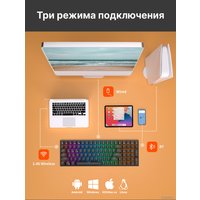 Клавиатура Royal Kludge RK100 RGB (черный, RK Red)