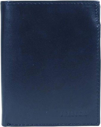 Кошелек Sanchez Casual ZM-110R-072 (синий)