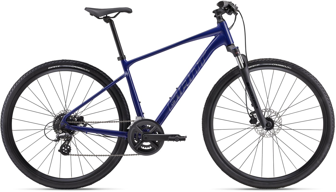 

Велосипед Giant Roam 3 Disc L 2024 (blue)