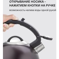 Чайник со свистком Rondell Tierno RDS‑1900