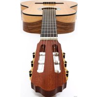 Акустическая гитара Kremona R65S