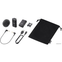 Радиосистема Sony ECM-W2BT