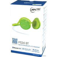 Наушники Arctic P324 BT