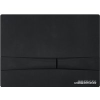 Панель смыва Berges Wasserhaus Novum F5 (черный)