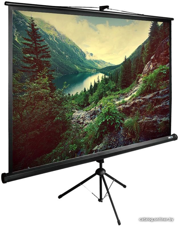 Проекционный экран CACTUS TriExpert 220x220 CS-PSTE-220X220-BK