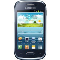 Телефон Samsung Galaxy Young (S6310)