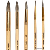 Набор кистей ArtSpace белка круглые № 1, 3, 5, 7, 9, 11 SB_3301 (6 шт)