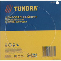 Шлифовальный круг Tundra 3594935 в Гродно