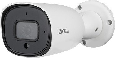IP-камера ZKTeco BL-854N38S-S7