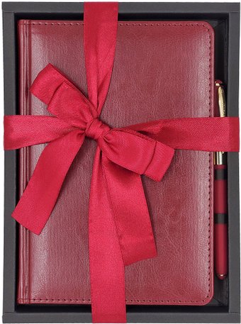 Ежедневник Bruno Visconti Sidney Nebraska 3-128/01-2