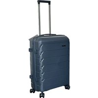 Чемодан-спиннер DoubleW YF-PP02 (L, серо-голубой)