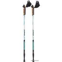 Палки для скандинавской ходьбы Berger Serenity 77-135 (черный/серебристый/мятный)