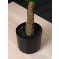 Искусственное растение Merry Bear Home Decor Фикус Лировидный A600090