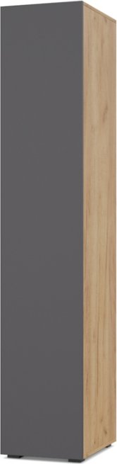 

Шкаф-пенал Modern Челси Ч12 (золотой дуб/графит)