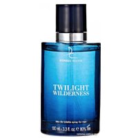 Туалетная вода Dorall Collection Twilight Wilderness for Men EdT (100 мл) в Могилеве