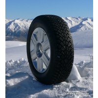 Зимние шины BFGoodrich g-Force Stud 195/65R15 95Q