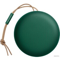 Беспроводная колонка Bang & Olufsen Beosound A1 2nd Gen (зеленый)