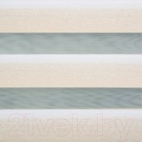 Рулонные шторы Lm Decor ДН LB 55-01 34x160