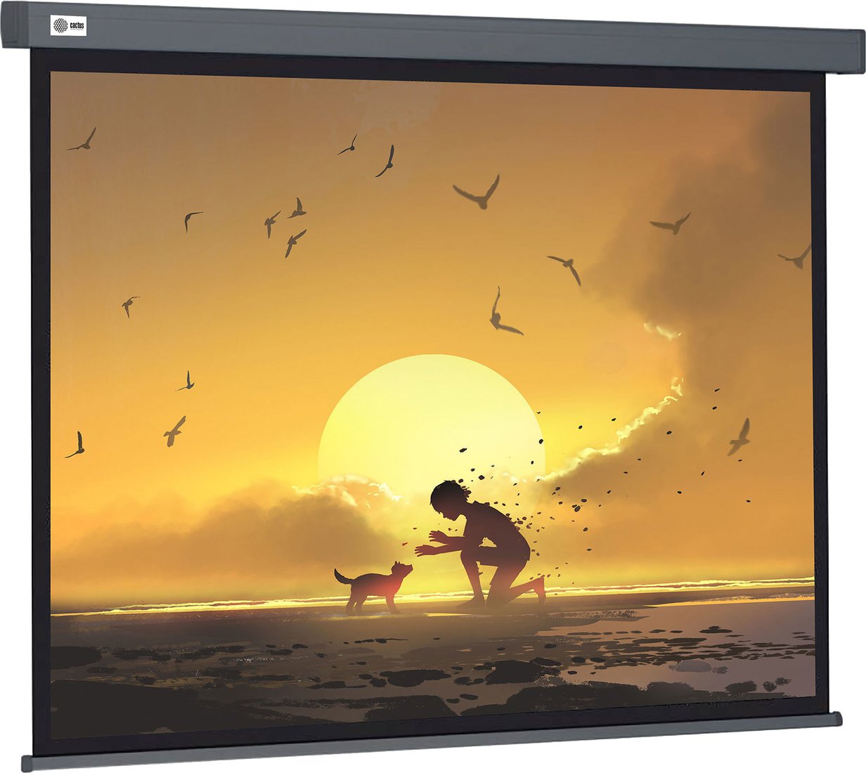 

Проекционный экран CACTUS Wallscreen 124x221 CS-PSW-124X221-SG
