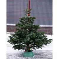 Ель HD Nordic Trees Nordmann Датская Премиум (1-1.2 м, срезанная)