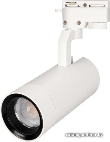 Трековый светильник Arlight LGD-GELIOS-2TR-R80-30W Day4000 031240