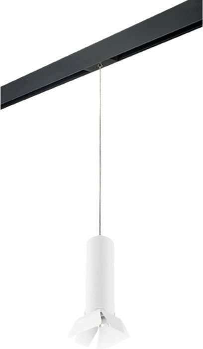 

Трековый светильник Lightstar Rullo PRORP496436