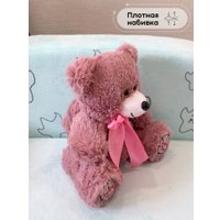 Классическая игрушка Sun&Rain Медведь Тед 30см (пудра)