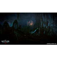  Ведьмак 3: Дикая Охота. Коллекционное издание для PlayStation 4