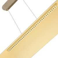 Подвесная люстра ST Luce SL3001.813.01