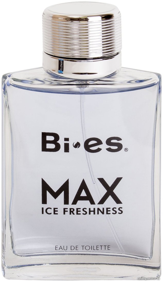 Туалетная вода BI-ES Max Ice Freshness EdT 100 мл