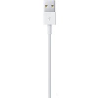 Кабель Apple USB 2.0 Type-A - Lightning (1 м, белый)