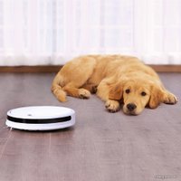 Робот-пылесос Xiaowa Small Watts Sweep