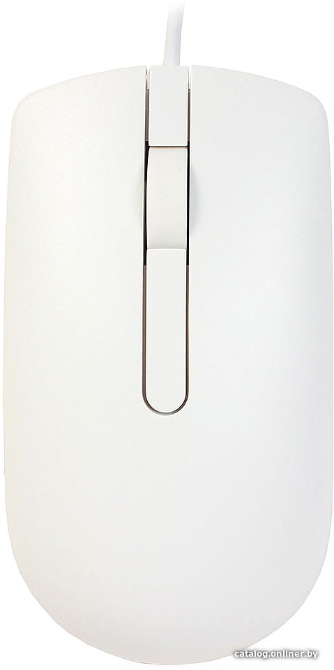 Мышь Dell Optical Mouse MS116 (белый)