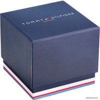 Наручные часы Tommy Hilfiger Alex 1781970