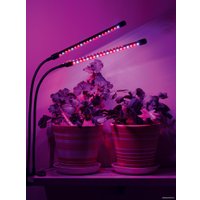 Лампа для растений ArtStyle TL-FC02S1B