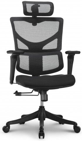 

Офисное кресло Ergostyle Sail E-Pro SAE-MF01N (черный/черный)