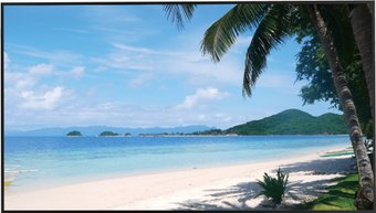 Информационная панель Dahua DHI-LM55-S400