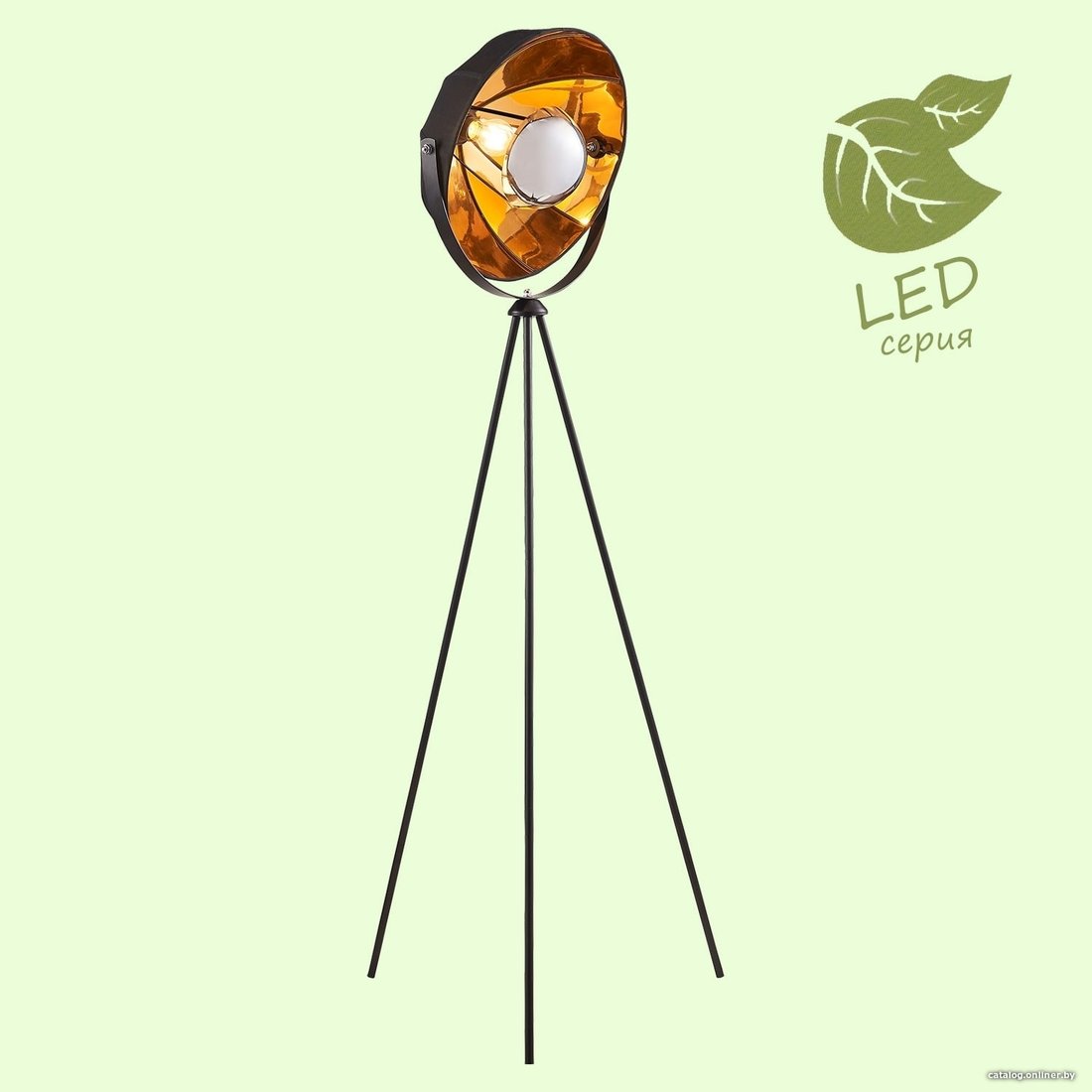 Торшер Lussole Lgo GRLSP-0556