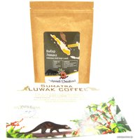 Кофе Чёрный & Зелёный Выбар Лювака/Wild Kopi Luwak зерновой 100 г