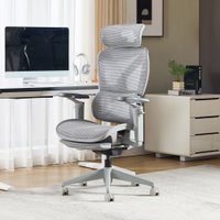 Офисное кресло Evolution ZX 3 (серый)