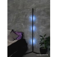 Торшер Electric Light 1800 (черный)