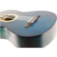 Акустическая гитара Valencia VC213 TBU