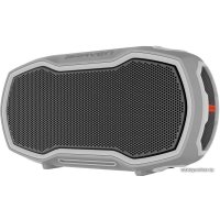 Беспроводная колонка Braven Ready Elite (серый)