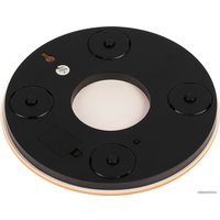 Кухонные весы Luazon LVK-701 (апельсин)